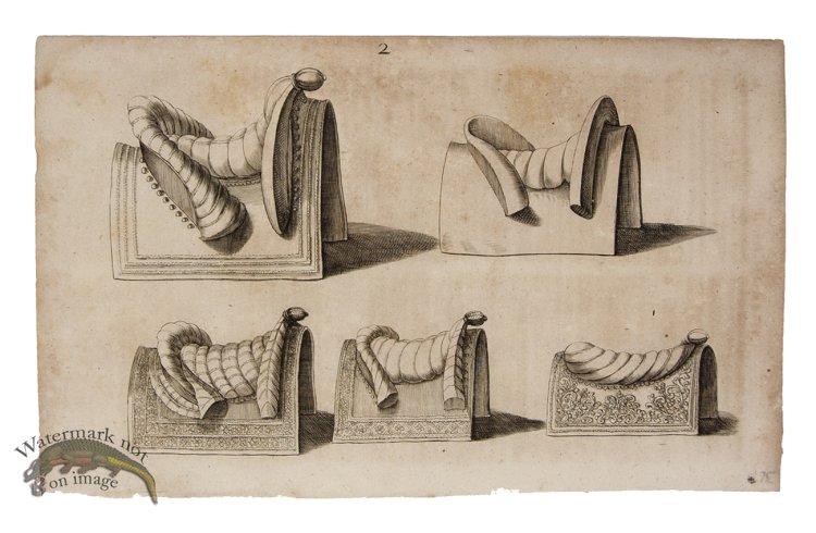 (image for) Winter Horse 11