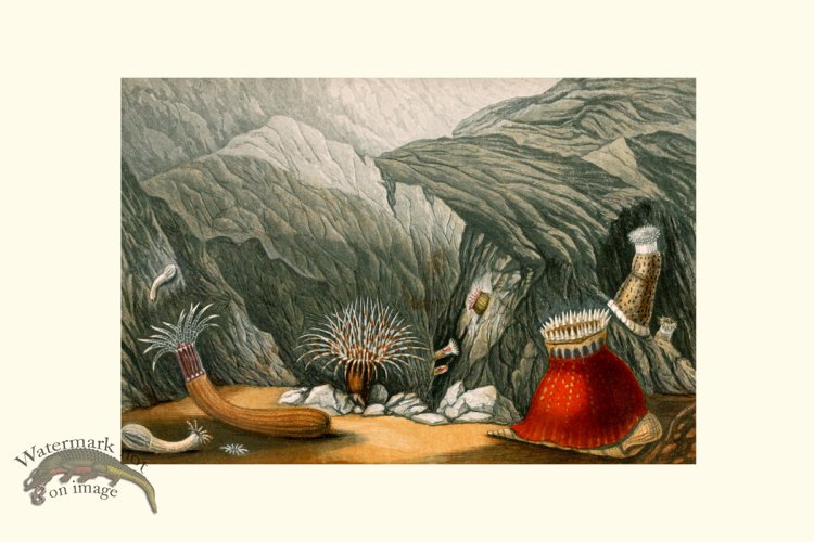 (image for) Underwater 36