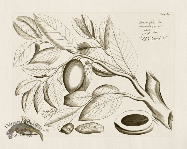 (image for) HORTUS VOL 04 05