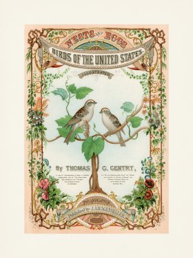 Thomas Gentry Bird 56