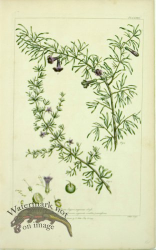 (image for) Philip Miller 092