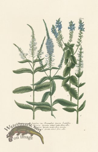 (image for) Weinmann PL 1005