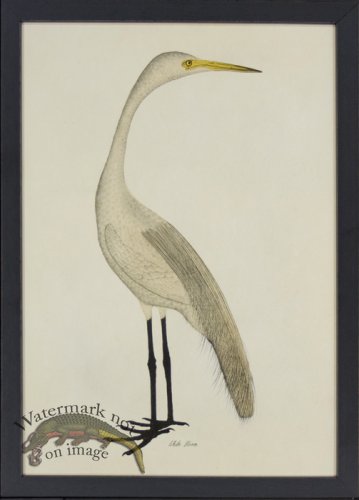 (image for) Tribute BFs 09