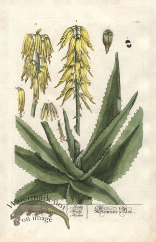 (image for) Blackwell GE 229