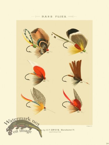 (image for) Favorite Flies 24 Bass