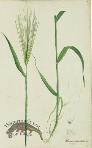 (image for) 1828_Gmp 051