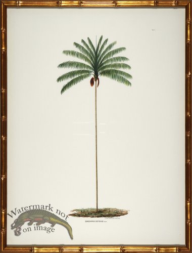 (image for) Palm trees in Gold Bamboo 06
