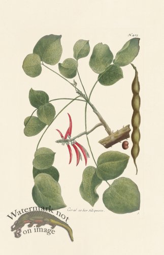 (image for) Weinmann PL 425