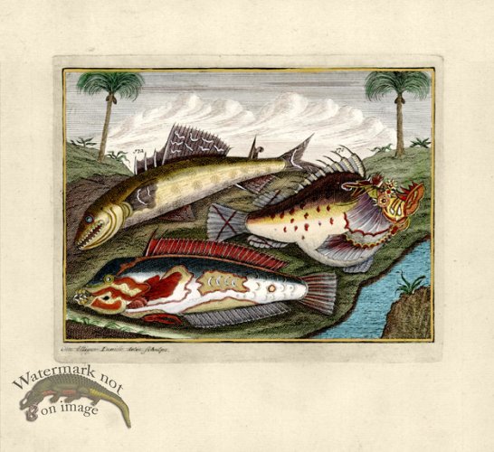 (image for) Valentijn 14