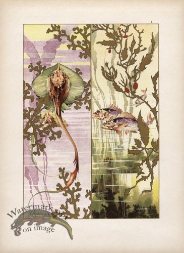 (image for) Gold Leaf Fish