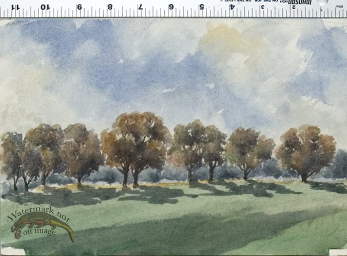 (image for) J Cooper 16