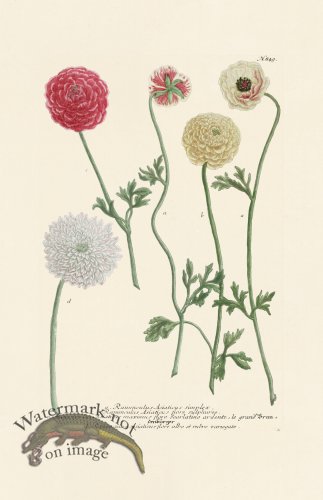 (image for) Weinmann PL 849