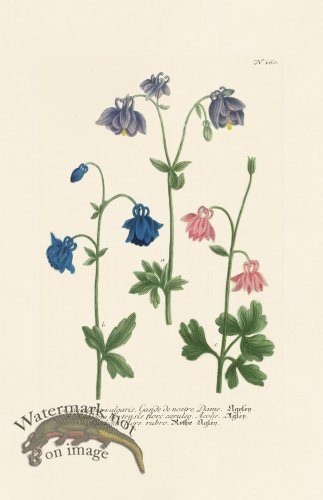 (image for) Weinmann PL 160