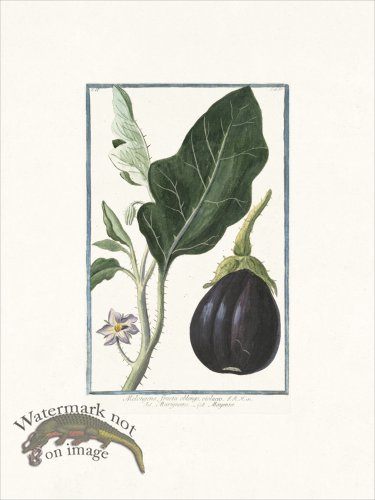 (image for) Bonelli 165 Mad apple