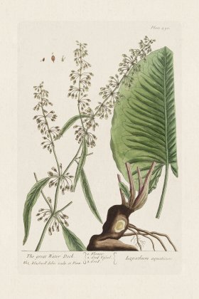 BEE 490 The great Water Dock