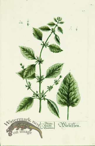 (image for) Blackwell German 218