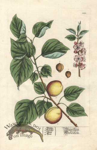 (image for) Blackwell GE 281