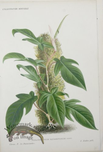 (image for) Horticult LP 06