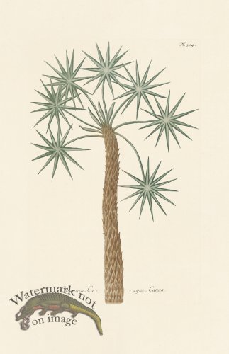 (image for) Weinmann PL 304