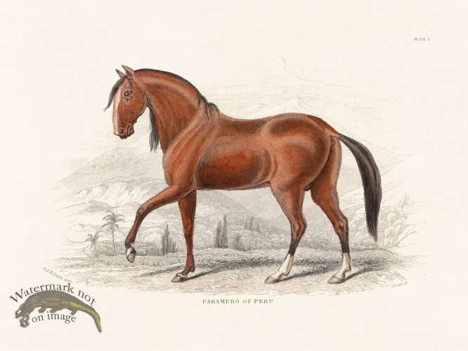 (image for) Jar Horse 04