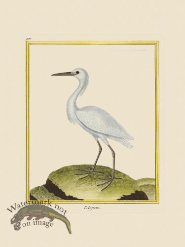 (image for) Martinet Bird 901