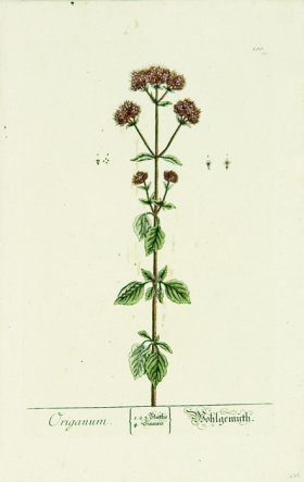 Blackwell German 059