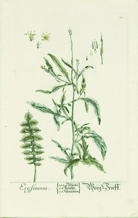 Blackwell German 102