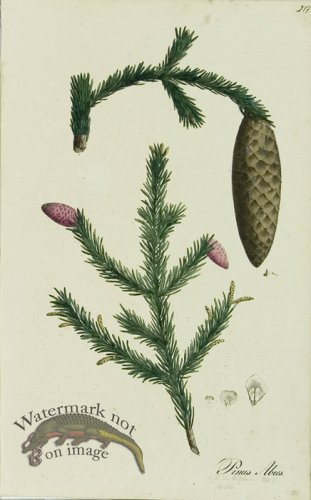 (image for) 1828_Gmp 059