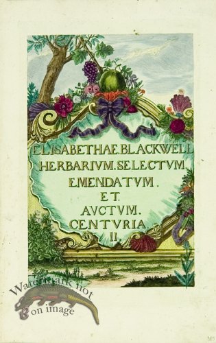 (image for) Blackwell German 050