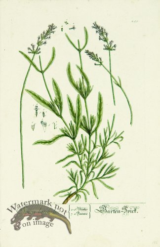 (image for) Blackwell German 237