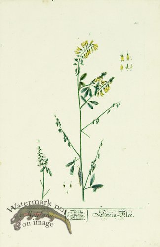 (image for) Blackwell German 259