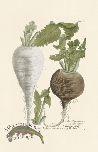 (image for) Weinmann PL 861