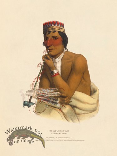 (image for) Wa-em-boesh-kaa Chippeway