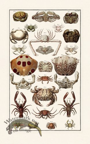 (image for) Seba B2 019