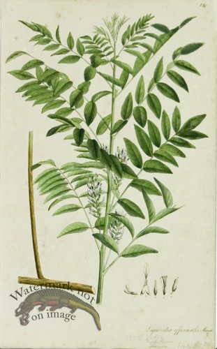 (image for) 1828_Gmp 061