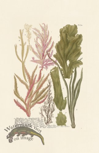 (image for) Weinmann PL 670