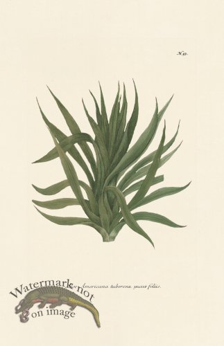 (image for) Weinmann PL 053