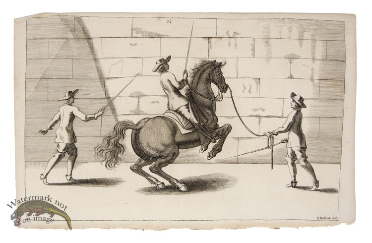 (image for) Winter Horse 03