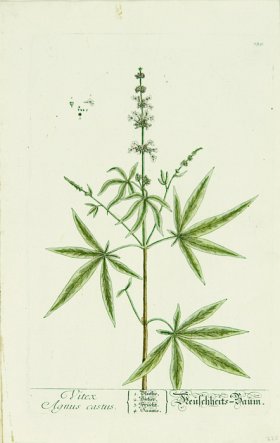 Blackwell German 092