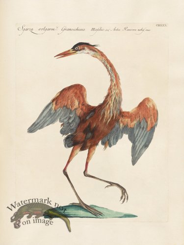 (image for) Manetti 430