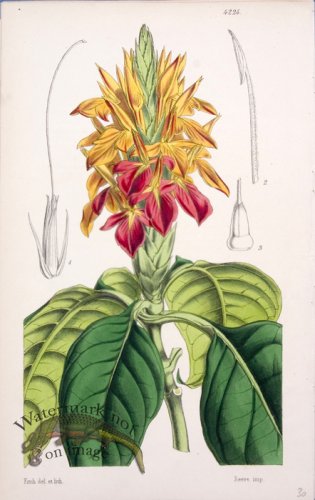 (image for) CBMS_0005