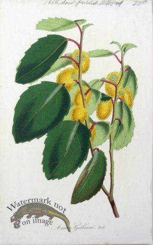 (image for) Houtteano_Bot_039