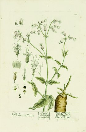 Blackwell German 248