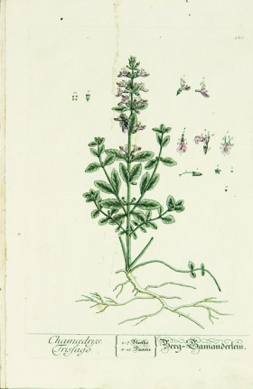 Blackwell German 141