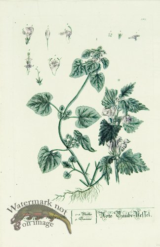 (image for) Blackwell German 234