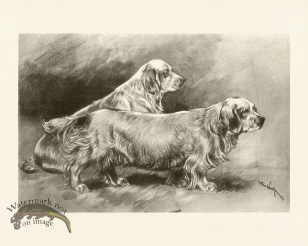 (image for) Modern Dogs 21