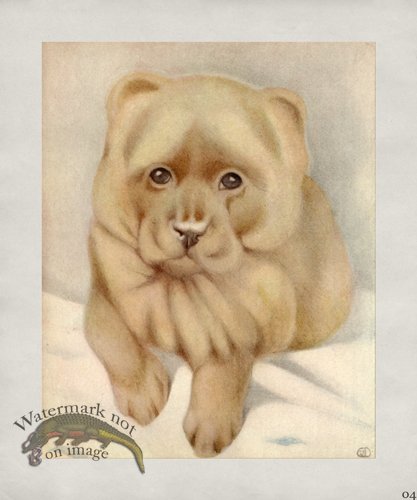 (image for) Puppy Dog 04