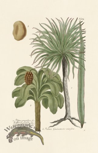 (image for) Weinmann PL 785