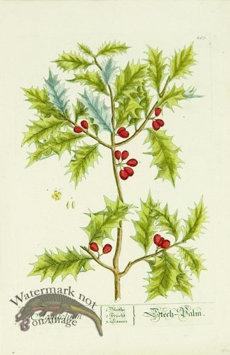 (image for) Blackwell German 111