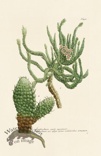 (image for) Weinmann PL 498